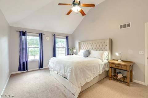 7650 Pinecrest Ln, Solon, OH 44139 photo 20