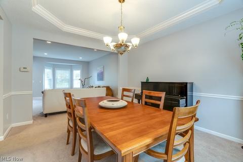7650 Pinecrest Ln, Solon, OH 44139 photo 7