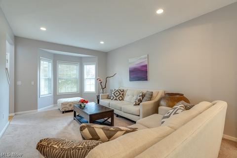 7650 Pinecrest Ln, Solon, OH 44139 photo 6