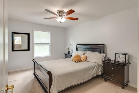7650 Pinecrest Ln, Solon, OH 44139 photo 23