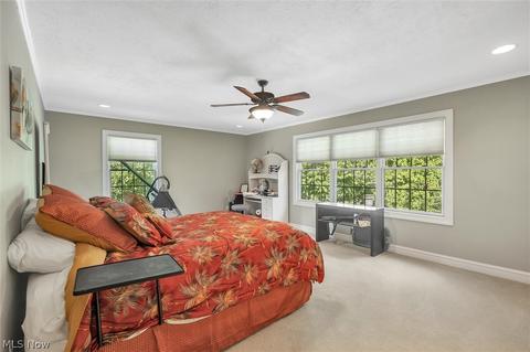 8375 Morley Rd, Concord, OH 44060 photo 29