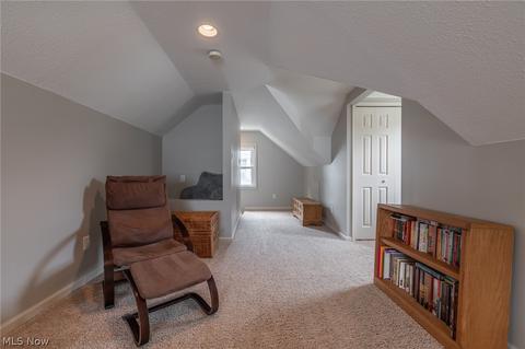 3847 E 365th St, Willoughby, OH 44094 photo 19