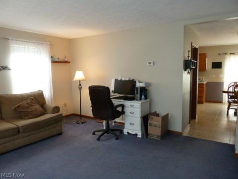 331 Sandpiper Ave, Elyria, OH 44035 photo 9