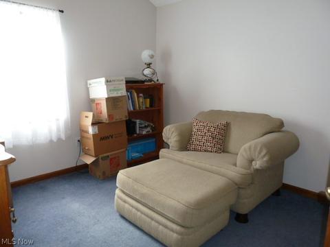 331 Sandpiper Ave, Elyria, OH 44035 photo 11