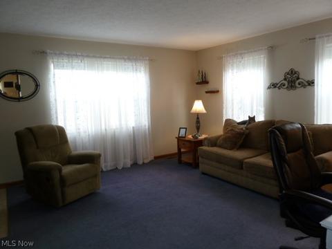331 Sandpiper Ave, Elyria, OH 44035 photo 8