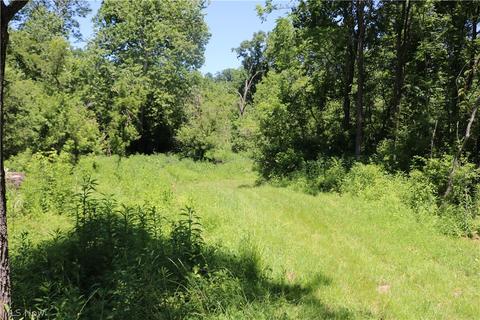 2570 Chenango Rd, Wakeman, OH 44889 photo 12