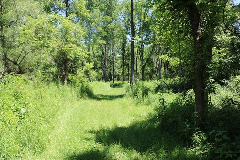 2570 Chenango Rd, Wakeman, OH 44889 photo 13