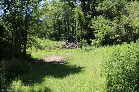 2570 Chenango Rd, Wakeman, OH 44889 photo 14