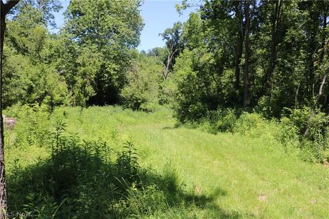 2570 Chenango Rd, Wakeman, OH 44889 photo 11