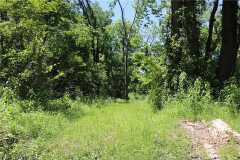 2570 Chenango Rd, Wakeman, OH 44889 photo 21
