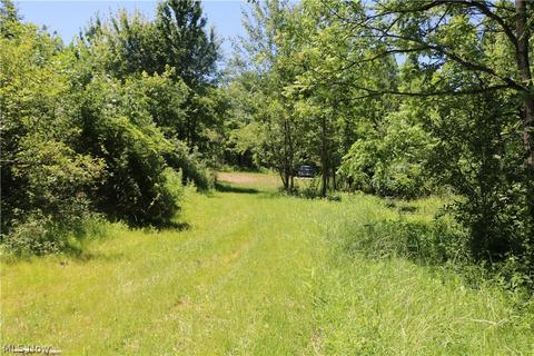 2570 Chenango Rd, Wakeman, OH 44889 photo 1