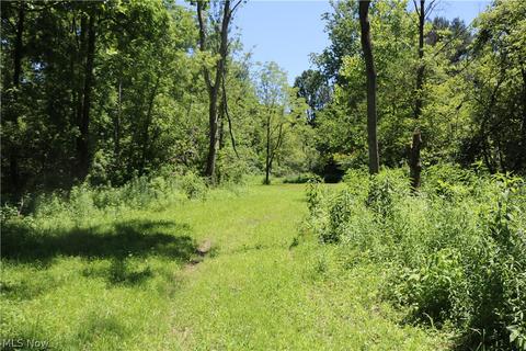 2570 Chenango Rd, Wakeman, OH 44889 photo 16