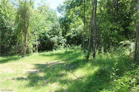 2570 Chenango Rd, Wakeman, OH 44889 photo 8