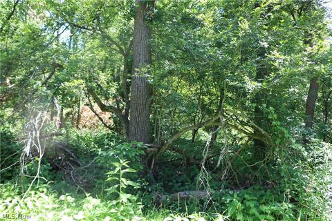 2570 Chenango Rd, Wakeman, OH 44889 photo 22