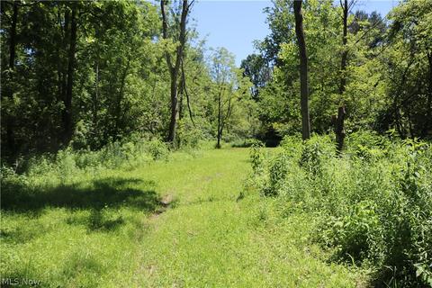2570 Chenango Rd, Wakeman, OH 44889 photo 17