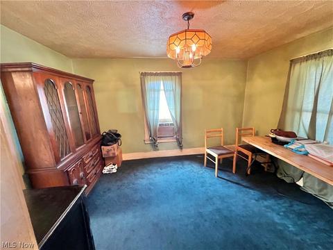 218 Winckles St, Elyria, OH 44035 photo 4