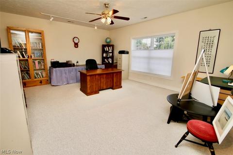 1541 Ashwood Dr, Saybrook, OH 44004 photo 21