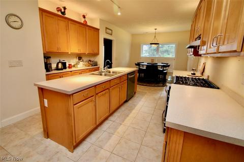 1541 Ashwood Dr, Saybrook, OH 44004 photo 7