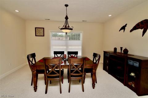 1541 Ashwood Dr, Saybrook, OH 44004 photo 20
