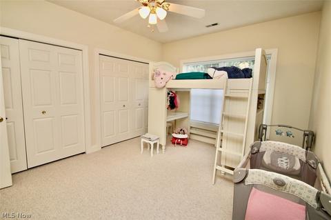 1541 Ashwood Dr, Saybrook, OH 44004 photo 26