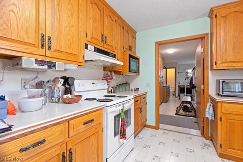 133 Harmon Ct, Lagrange, OH 44050 photo 12