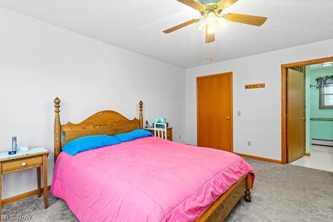 133 Harmon Ct, Lagrange, OH 44050 photo 23