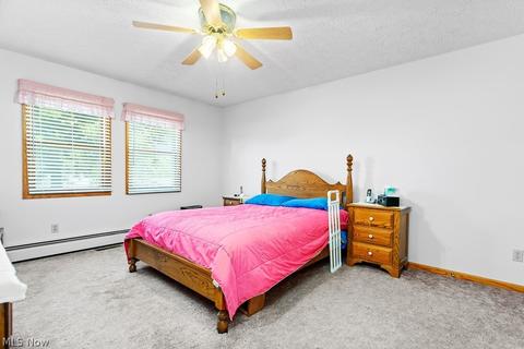 133 Harmon Ct, Lagrange, OH 44050 photo 22