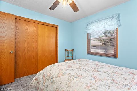 133 Harmon Ct, Lagrange, OH 44050 photo 19