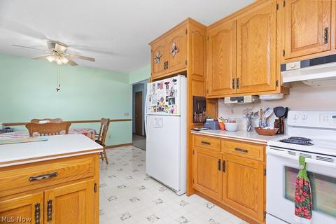 133 Harmon Ct, Lagrange, OH 44050 photo 14