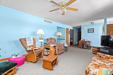 133 Harmon Ct, Lagrange, OH 44050 photo 6