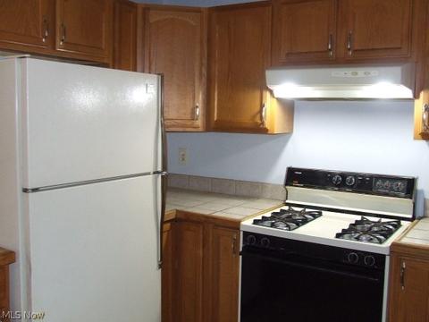 331 Julien Ave, Akron, OH 44310 photo 19