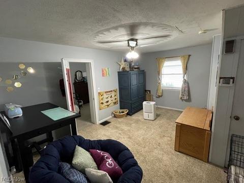 429 E 2nd St, Dover, OH 44622 photo 6