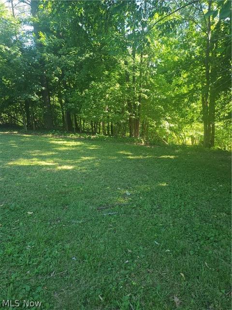 158 Meadow Dr, Elyria, OH 44035 photo 27
