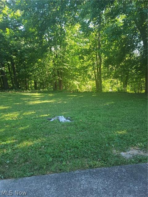 158 Meadow Dr, Elyria, OH 44035 photo 3