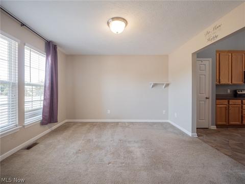 3667 Case Rd, Avon, OH 44011 photo 13
