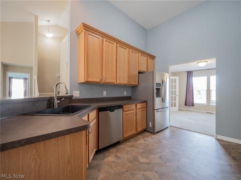3667 Case Rd, Avon, OH 44011 photo 8