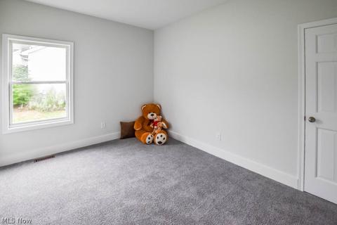 208 Patrick John Dr, Wadsworth, OH 44281 photo 19