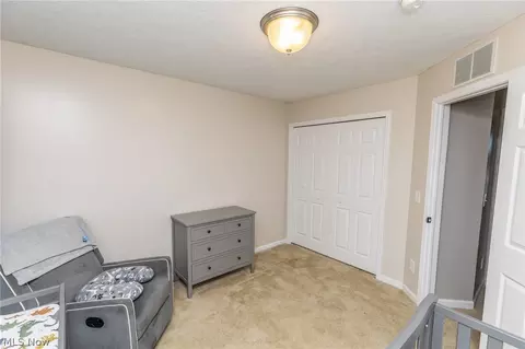 4031 Timber Walk, Lorain, OH 44053 photo 20