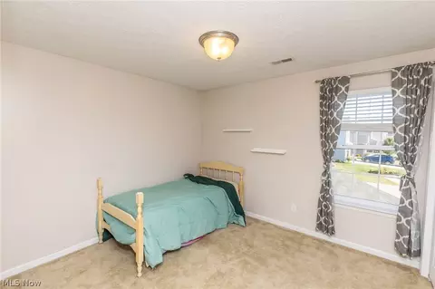 4031 Timber Walk, Lorain, OH 44053 photo 22