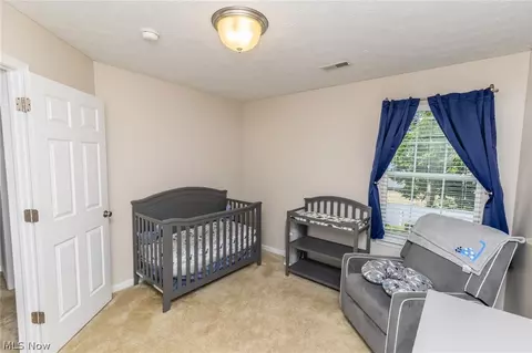 4031 Timber Walk, Lorain, OH 44053 photo 19
