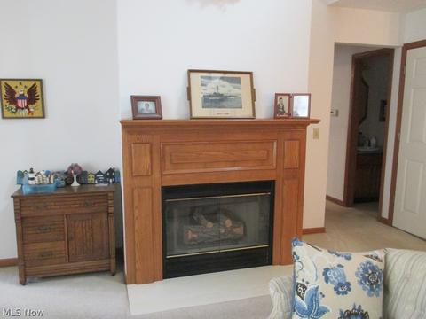 114 Windgate Dr, Elyria, OH 44035 photo 9