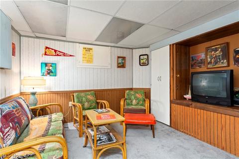 223 Eastern Heights Blvd, Elyria, OH 44035 photo 31