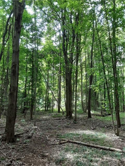 6072 Root Rd, Conneaut, OH 44030 photo 29