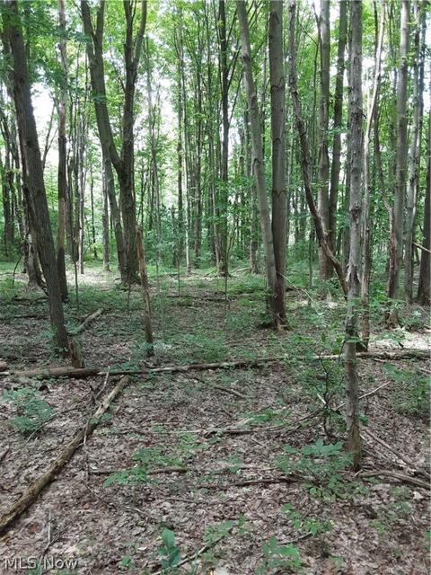 6072 Root Rd, Conneaut, OH 44030 photo 27