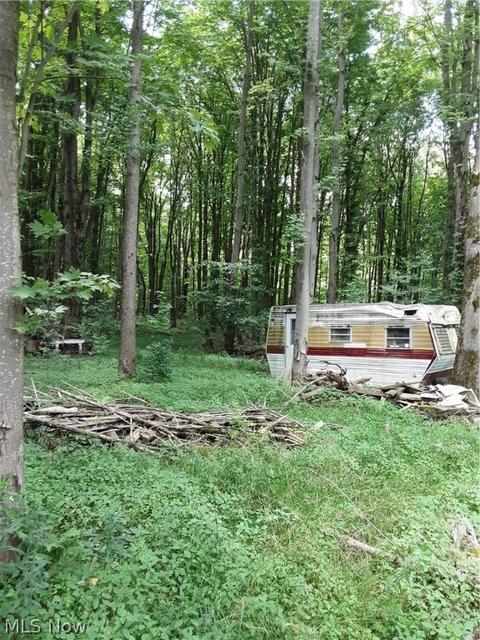 6072 Root Rd, Conneaut, OH 44030 photo 26