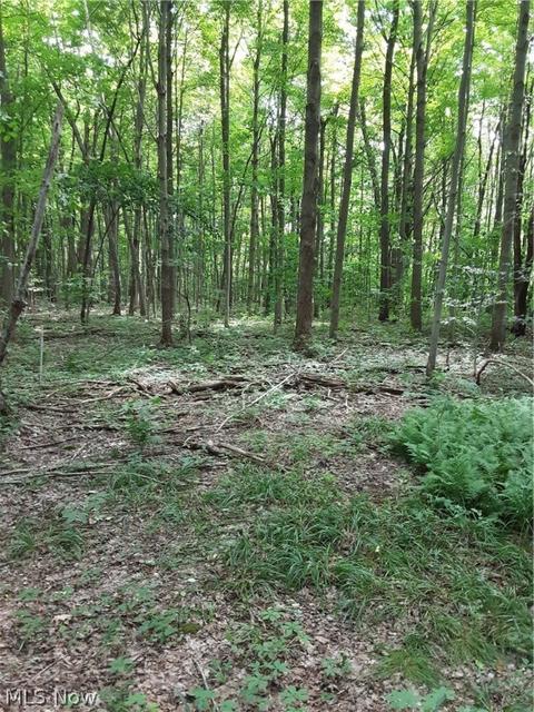 6072 Root Rd, Conneaut, OH 44030 photo 28