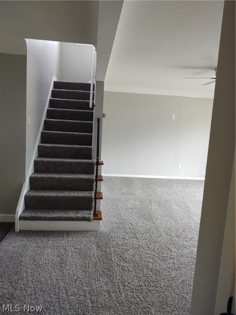 285 E 280th St, Euclid, OH 44132 photo 8