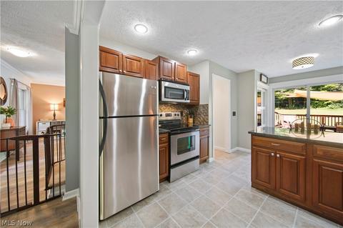 9200 Kile Rd, Hambden, OH 44024 photo 8