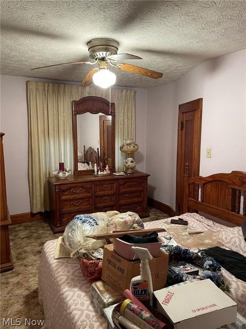 103 W Plain St, Minerva, OH 44657 photo 9