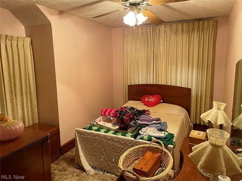 103 W Plain St, Minerva, OH 44657 photo 8